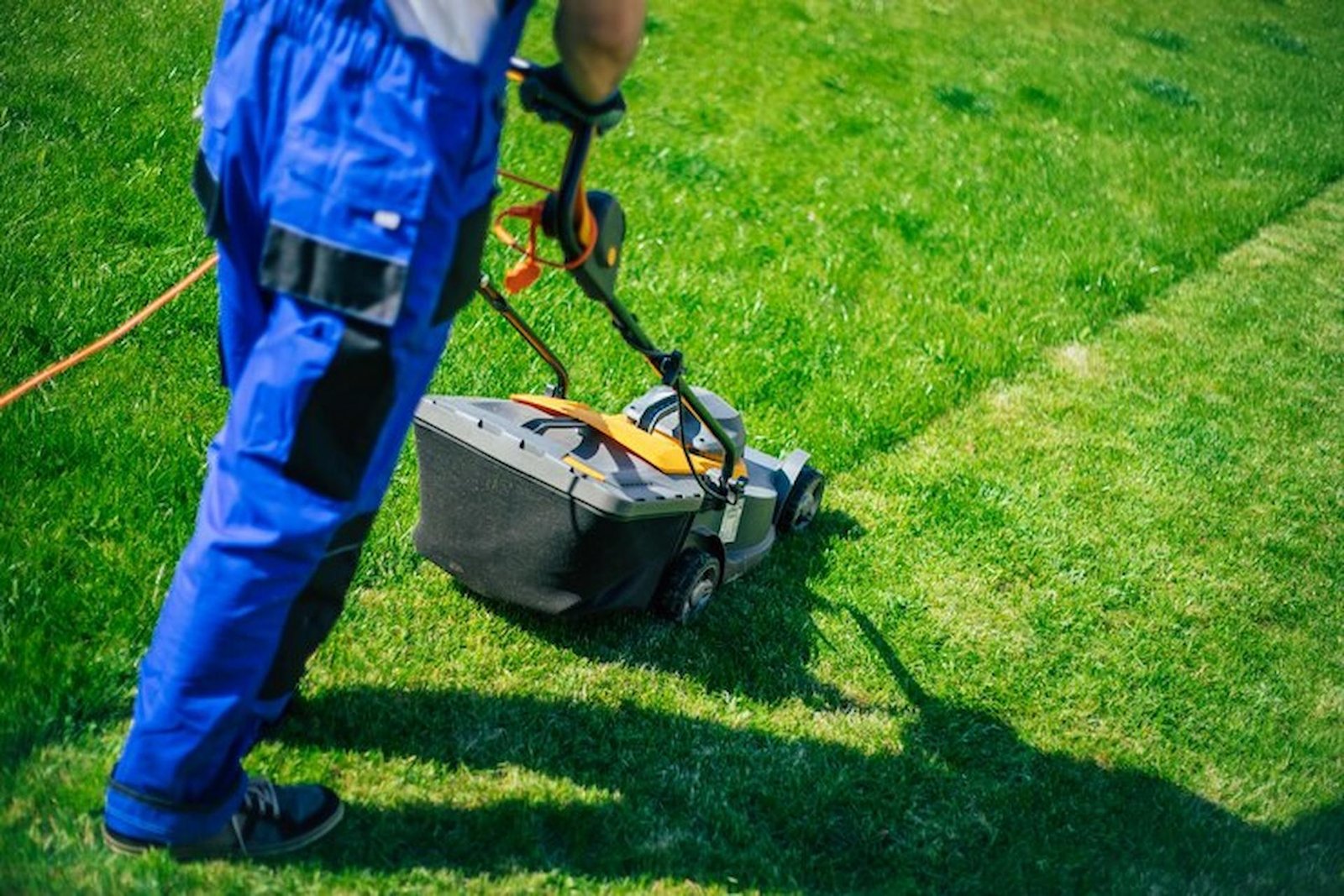 Improving Lawn Health: Aeration and Overseeding Benefits