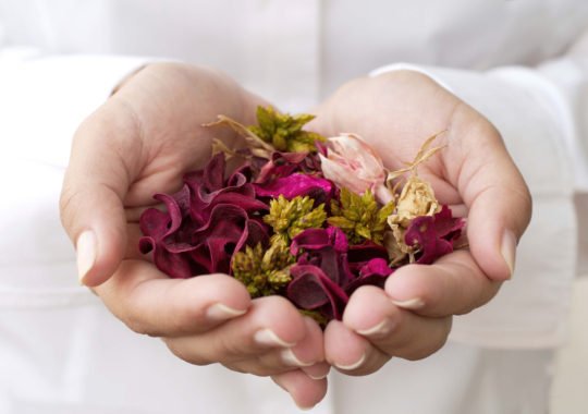 Herbal Remedies For PCOS