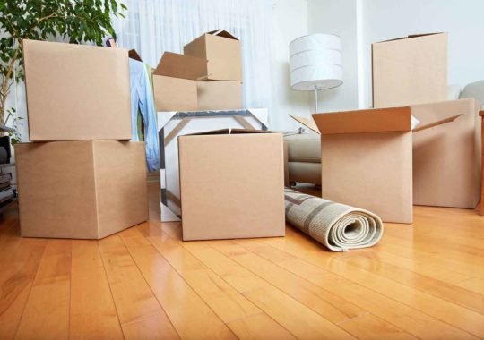 Why You Should Hire Professional Removal Services?