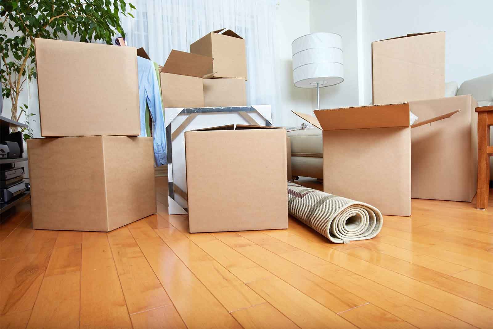 Why You Should Hire Professional Removal Services?
