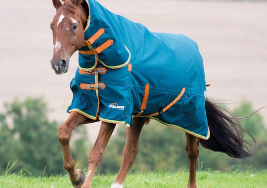What Is A Turnout Rug And How Does It Benefit Your Horse?
