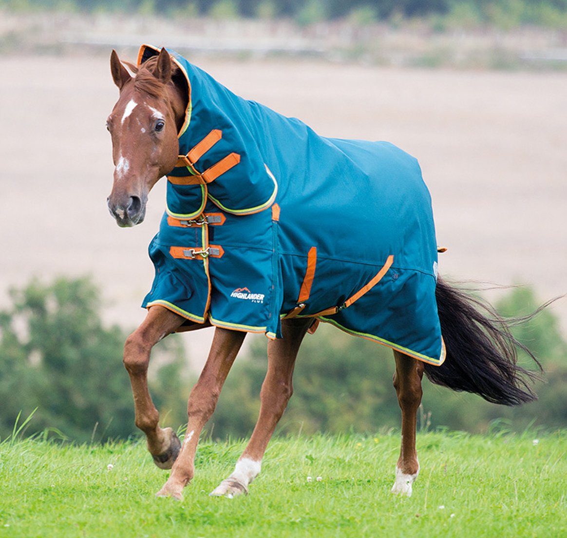 What Is A Turnout Rug And How Does It Benefit Your Horse?