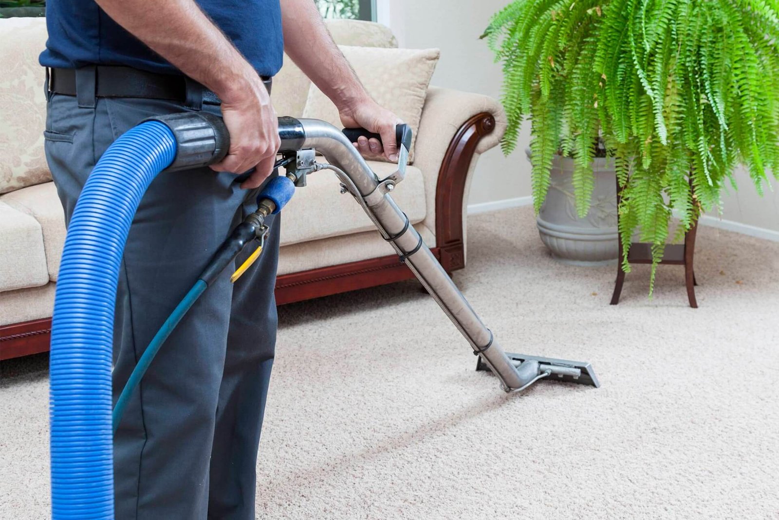 Professional Carpet Cleaners Sharing Best Cleaning Secrets